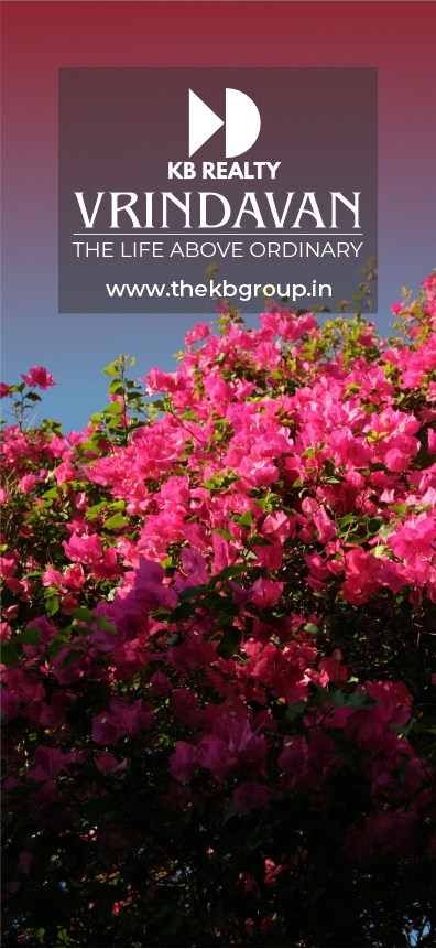 Chief Guest Presence View 1