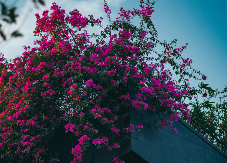 BRANDING, MARKETING & COMMUNICATION STRATEGY